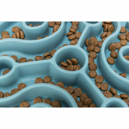 V6H48C361D53B7F7F5C251BE95822CBBC13R7455468P4