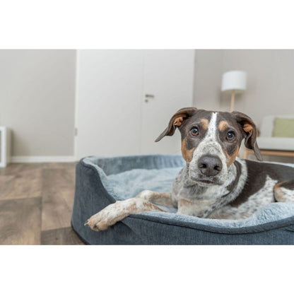 V4H6290C1518CE1D7BE8327828FE52B4861R7472352P7