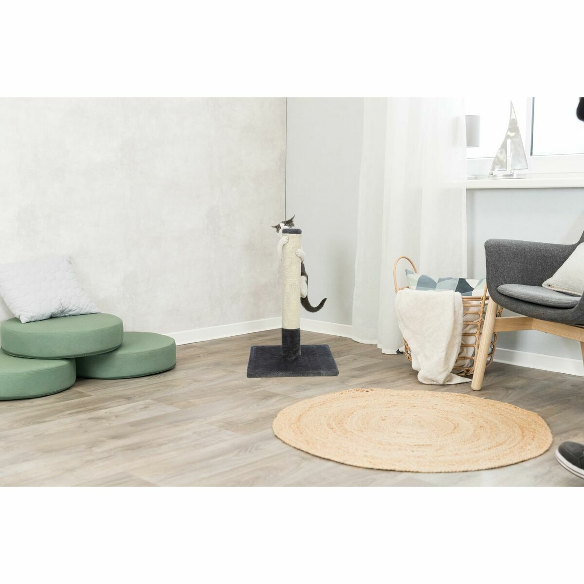 V5H0FD7509D334AE2E62F1B86822BDF2FE6R5785133P5